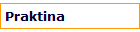 Praktina